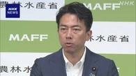 小泉農相 コメ増産に向け政策転換図る考え “しっかり道筋を”