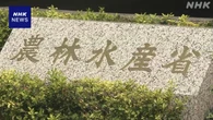 コメ需要見通し“前年以下”で調整 近く示す新案で 農林水産省