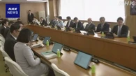 年金制度改革関連法案 自民総務会で了承 今週中にも国会提出へ