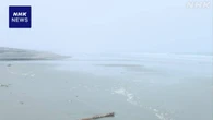 北海道 根室 死んだアザラシから鳥インフル検出 国内では初