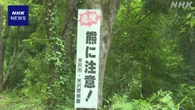 山形 米沢 山の中の市道でクマに襲われ 65歳の男性 軽いけが