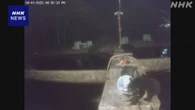 岩手 大槌町 クマ3頭 繰り返し養殖場に 魚あさる けが人なし