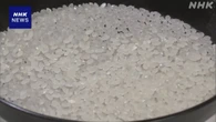 備蓄米 中小のスーパーなど101の申請が確定 流通が焦点