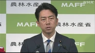 小泉農相 随意契約の備蓄米“今月下旬～来月に相当量 市場に”