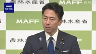 自民総裁選 小泉農相が立候補の意向を表明