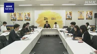 国民 意思決定機関に総務会を設置 会長に浜野喜史参院議員起用