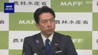 小泉農相“コメ生産量増の見通し 冷静に” 平均価格値上がりで