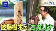 【動画】広島 被爆樹木から作られたコカリナ 奏でる平和の音色