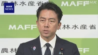 自民総裁選 小泉農相が立候補に向けた調整を本格化