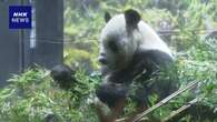 上野動物園のパンダ リーリーとシンシンが中国へ出発