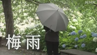 九州北部と四国が梅雨入り 沖縄は平年より13日早く梅雨明け