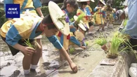 京都 松尾大社で五穀豊じょうを願う「御田植え式」