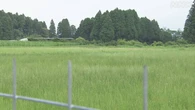 宮崎 えびの パラグライダー着陸失敗 意識不明の61歳男性 死亡