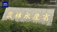 コメ価格高止まり続く 農水省が相次ぎ対策 本格的な値下がりは