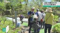 上皇ご夫妻ゆかりのユウスゲの苗が配られる 長野 軽井沢町