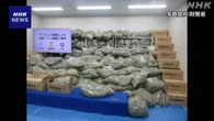 税関で押収の大麻 上半期で1トン超に 半年間では過去最大