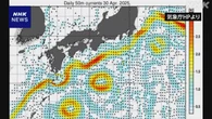 黒潮大蛇行「ことし4月に終息」過去最長7年9か月 気象庁