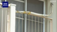 埼玉 三郷 74歳の父親死亡 長男が殴ったか 傷害の疑いで逮捕