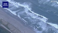 愛知 豊橋 海岸でブラジル国籍の親子溺れる 母親が死亡