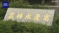 上半期の農林水産物と食品の輸出額 初の8000億円超 過去最高に