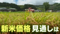 新米価格は上がる？どうなる？ 各地や専門家の見通しは
