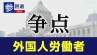 参院選 政党 政策アンケート「外国人労働者」