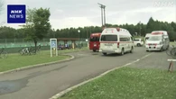 北海道 芽室町 17人がハチに刺されたか いずれも意識あり