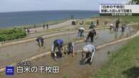 石川 輪島 地震で被害の「白米の千枚田」で田植え