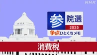【詳しく知る参議院選挙の争点】消費税