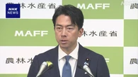 小泉農相“首相から来年のコメも増産方向明確に打ち出された”