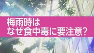 【動画解説】食中毒に注意 梅雨時の対策のポイントは