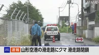 山形空港 滑走路にクマが入り込み閉鎖 欠航の便も