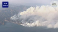 岩手 大船渡 山林火災発生4か月 私有林多く森林復旧作業に課題