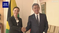 岩屋外相 ジャマイカ外相と会談 核軍縮・不拡散分野で連携強化