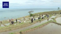 石川 輪島「白米の千枚田」で田植え始まる ボランティア参加