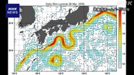 黒潮大蛇行 過去最長 7年9か月続くも 気象庁 “終息の兆し”