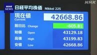 日経平均株価 きょうは600円以上値下がり