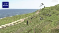 石川 輪島「白米の千枚田」で草取り 地震・豪雨で被害