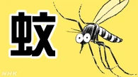 猛暑で「蚊」も夏バテ？ 効果的な対策を聞きました