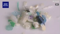 「マイクロプラスチック」世界各地の海中のあらゆる深さに分布