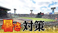 夏の全国高校野球 暑さから選手をどう守る 全都道府県を調査