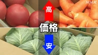 野菜の価格 トマト・にんじん平年より約20％高い 暑さなど影響