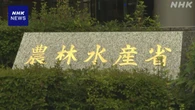 備蓄米 中小事業者の申請受け付け 6月2日午後5時で一時休止へ
