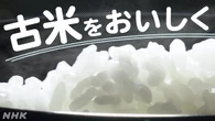 【お米マイスター直伝】古米 どう食べる？パサつき においは