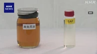 航空燃料「SAF」普及へ 都が使用済み油の回収キャンペーン