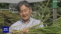 天皇陛下 皇居で恒例の稲刈り