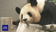 和歌山 パンダ返還 発表から1か月 中国へ送り出す準備進む