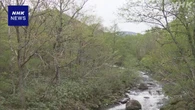 長野 山菜採りで群馬の男性2人不明 遺体で発見か