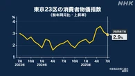 東京23区 7月の消費者物価指数 前年同月比2.9％上昇