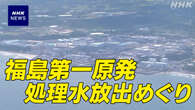 【詳報】中国 日本産水産物の輸入再開へ 経緯 安全性は